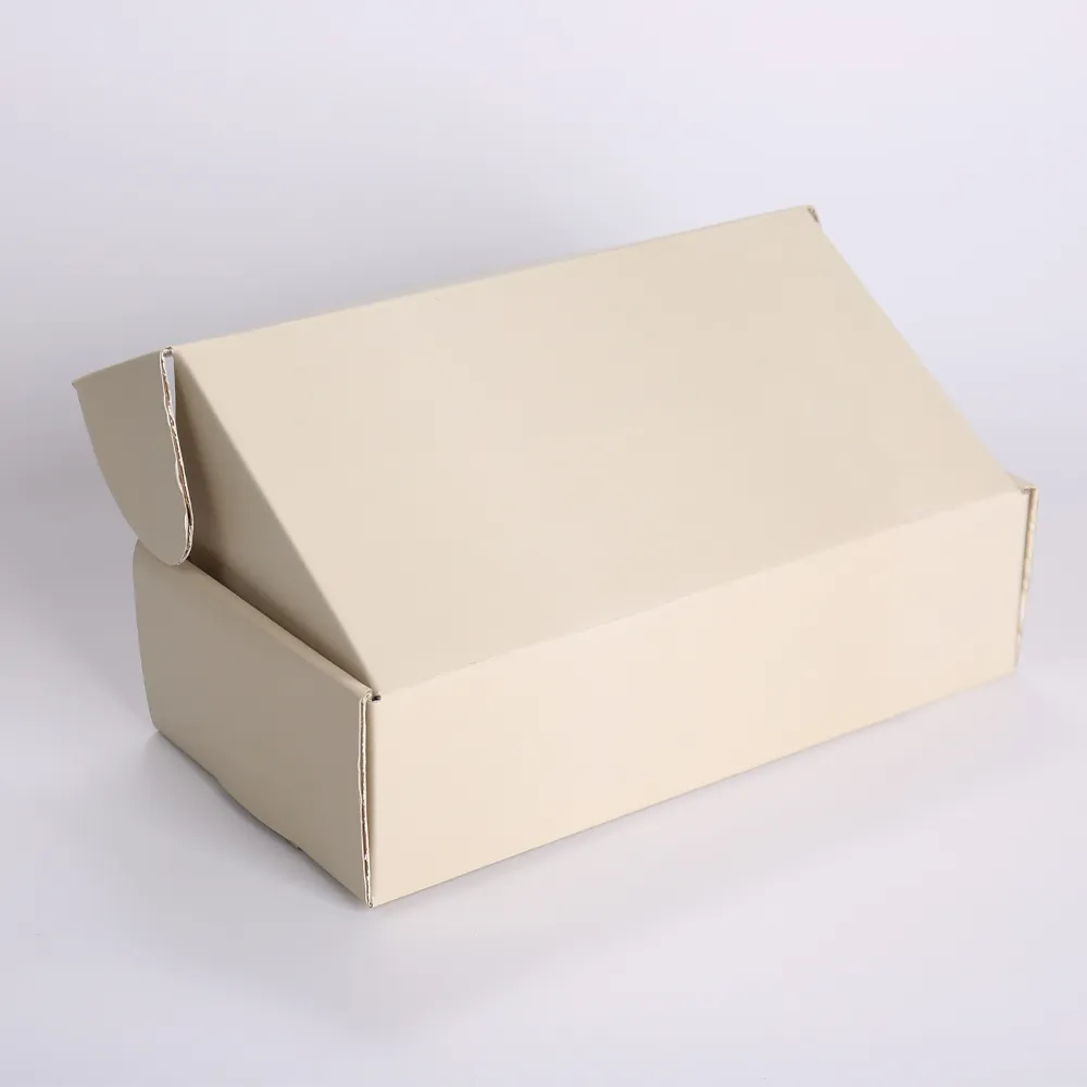 Beige Corrugated Mailer Box with Custom 'Extensions' and 'Thank You' Print - alternate view